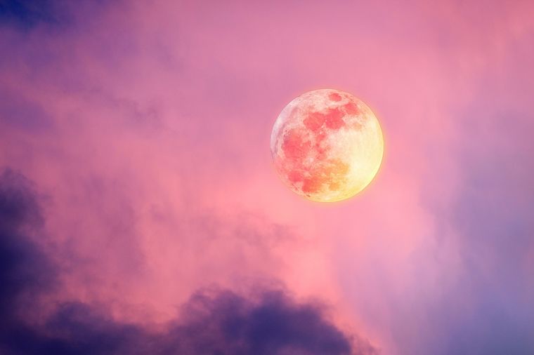 Aunque su nombre sugiere un color particular, la Luna Rosa debe su denominación a una flor silvestre y no a una tonalidad visible en el cielo. Foto: Shutterstock