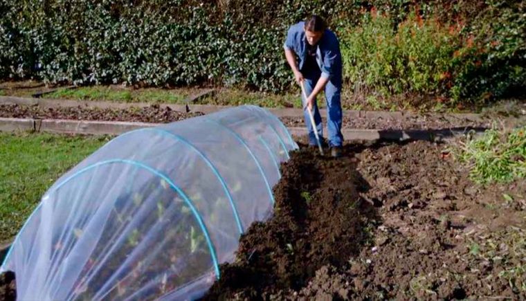 El uso de plástico para cubrir los cultivos es muy común en las zonas muy frías y se recomienda también para evitar daños en las heladas. Créditos: homesandgardens.