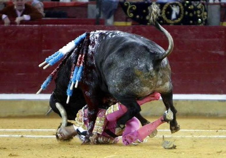El torero quedó afectado por la cornada.