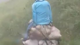 Sin miedo Dan ganas de hacer apuestas sobre cuánto tiempo más van a vivir estos muchachos.