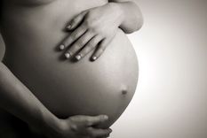 Una jueza rechazó con fuertes argumentos un pedido de gestación por sustitución y pidió la regulación legislativa para esta metodología de reproducción Foto: Shutterstock