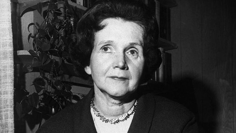 Rachel Carson publicó Primavera Silenciosa en 1962. Escribió su obra y la defendió de los ataques de la industria de los pesticidas mientras batallaba un cáncer que le costó la vida en 1964 a los 56 años. Foto: GETTY IMAGES