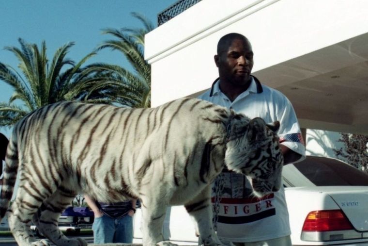 tyson Foto: Imagen  Pinterest