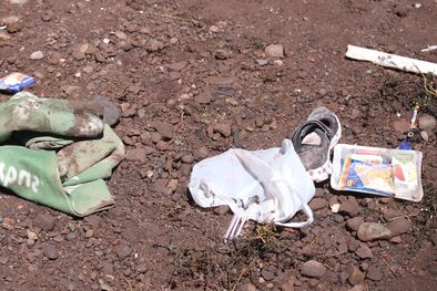 MDZol | Foto: Pachy Reynoso / MDZ