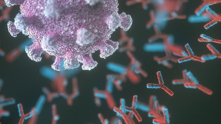 El gen LZTFL1 juega un papel en la gravedad de la covid, según un nuevo estudio. La mayoría de la población de ascendencia del sur de Asia porta este gen. Foto: GETTY IMAGES