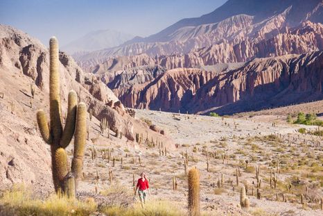 San Antonio de los Cobres resume el perfil más impactante de la Puna, con altura, aridez y una geografía que domina toda la escena. San Antonio de los Cobres resume el perfil más impactante de la Puna, con altura, aridez y una geografía que domina toda la escena.