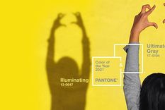 ¿cual es el mensaje del color del 2021, segun pantone?