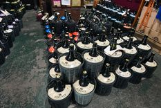 La vitivinicultura argentina acumula más de tres años consecutivos con números en rojo.&nbsp;