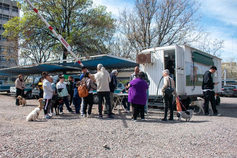 Las prestaciones en el Móvil Veterinario de Ciudad incluyen castraciones, consultas clínicas básicas, vacunación antirrábica y desparasitaciones.