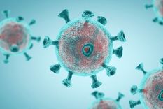 El diámetro de una partícula de coronavirus oscila entre los 80 y 129 nanómetros. Foto: GETTY IMAGES
