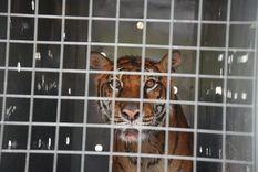 Foto: Prensa Gobierno de Mendoza
