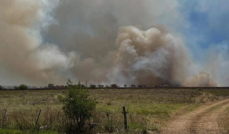 Un nuevo incendio forestal se desencadenó este jueves en la Reserva de Punta Lara. Foto: 0221 La Plata