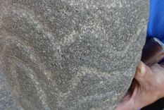 Foto: El Cuco Digital