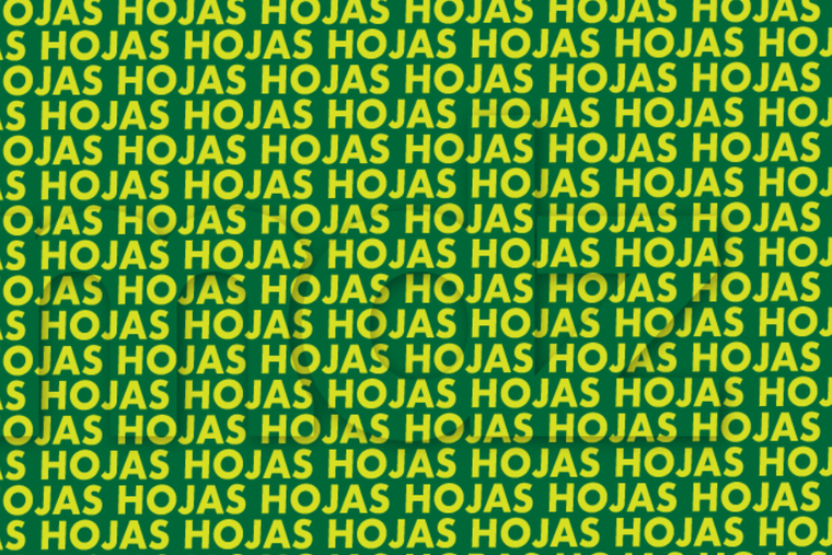 ACERTIJO VISUAL ACERTIJO VISUAL, RETO VISUAL, PALABRA Foto: MDZ ONLINE