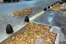 Foto: ALF PONCE MERCADO / MDZ