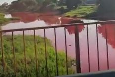 El arroyo Sarandí desemboca en el Río de la Plata Foto: Captura de video