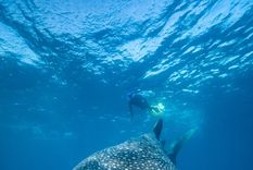 Foto: Photo credit: Andre Rerekura