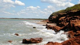 Pehuen-Có es una localidad turística ubicada en el partido de Coronel Rosales, en el sur de la provincia de Buenos Aires Foto: Diego Perez en Google Maps