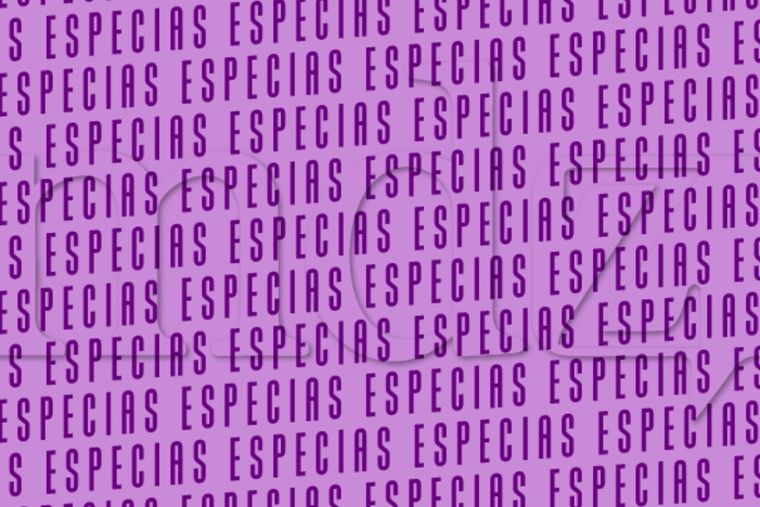 Acertijo visual Acertijo visual, Reto visual, Palabra Foto: MDZ Online