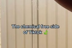 Video viral Foto: TikTok