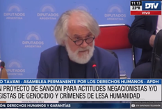 La comisión de organismos de DDHH trató la temática del negacionismo Foto: Diputados TV