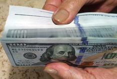 En un contexto inflacionario, que aunque se moderó un poco apun sigue siendo complejo, los agentes económicos buscan dolarizar carteras poniendo presión sobre la cotización del billete Foto: ALF PONCE MERCADO / MDZ