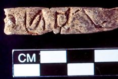 Se descubrieron objetos de arcilla del tamaño aproximado de un dedo durante una excavación en la antigua ciudad de Umm el-Marra. Foto: Dpa.