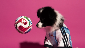 Adidas comunicó una línea de camisetas para mascotas antes del Mundial 2026. Adidas comunicó una línea de camisetas para mascotas antes del Mundial 2026.