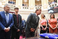 Rodolfo Suarez juró como senador Foto: NA