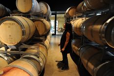 Un informe advierte por la presión tributaria en la industria del vino.