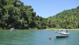 Esta playa de Brasil está siendo tendencias entre los destinos más buscados. Esta playa de Brasil está siendo tendencias entre los destinos más buscados.