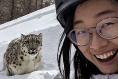 La esquiadora intentó sacarse una foto con el animal y fue salvajemente atacada.
