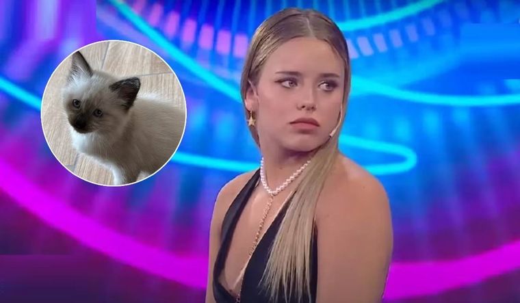 La preocupación de Coti de Gran Hermano por su pequeña gatita, Coco.
