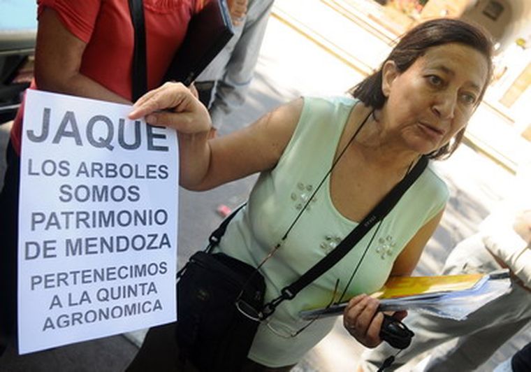 Varios días de manifestación por Los Tilos se vivieron en Casa de Gobierno Foto: Nacho Gaffuri / MDZ