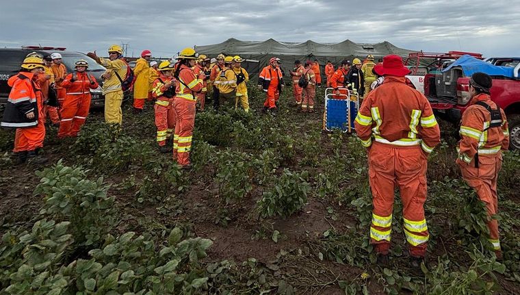 Los operativos de búsqueda. Los operativos de búsqueda.