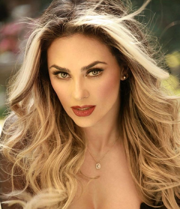 Aracely Arámbula tuvo dos hijos con el cantante mexicano Luis Miguel. Foto: Instagram