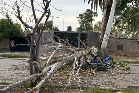 Así quedó la moto en la que iba la víctima, tras ser aplastada por el árbol que tiró el viento Zonda. Así quedó la moto en la que iba la víctima, tras ser aplastada por el árbol que tiró el viento Zonda.