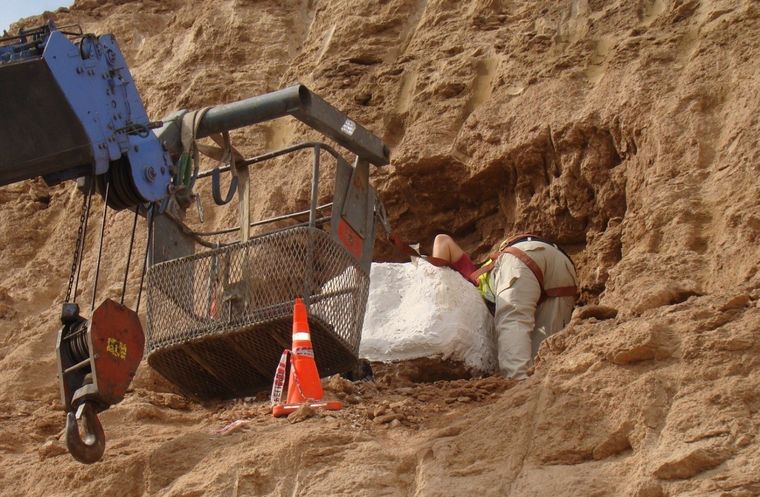 El descubrimiento de los restos fósiles fue realizado en 2015 en el predio de una cementera ubicada en Olavarría Foto: Gentileza investigadores de Conicet