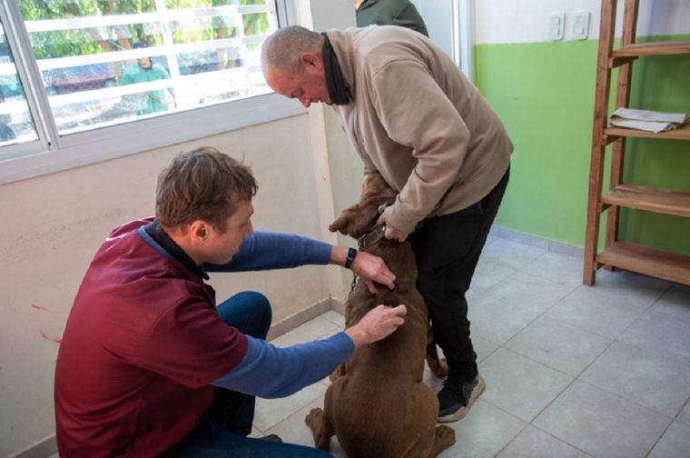 Vecinos de distintos barrios podrán acceder durante febrero a prestaciones veterinarias municipales en la Ciudad de Mendoza.