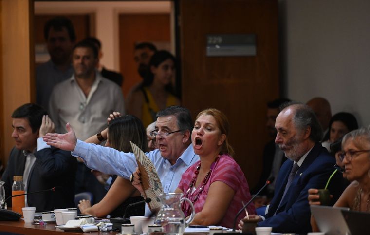 Los diputados Omar De Marchi y Mario Negri en la comisión de juicio político Foto: Télam