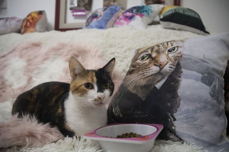 El emprendimieto fue creado por tres amigas que quedaron desempleadas durante la pandemia. Foto: Télam