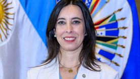 Sonia Cavallo, hija de Domingo Cavallo Sonia Cavallo, la hija del exministro de Economía Domingo Cavallo que fue despedida por el presidente de su cargo al frente de la Embajada argentina ante la OEA.