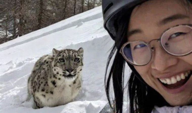 La esquiadora intentó sacarse una foto con el animal y fue salvajemente atacada.