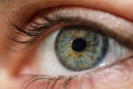 La conjuntivitis es más común en primavera. La conjuntivitis es más común en primavera.
