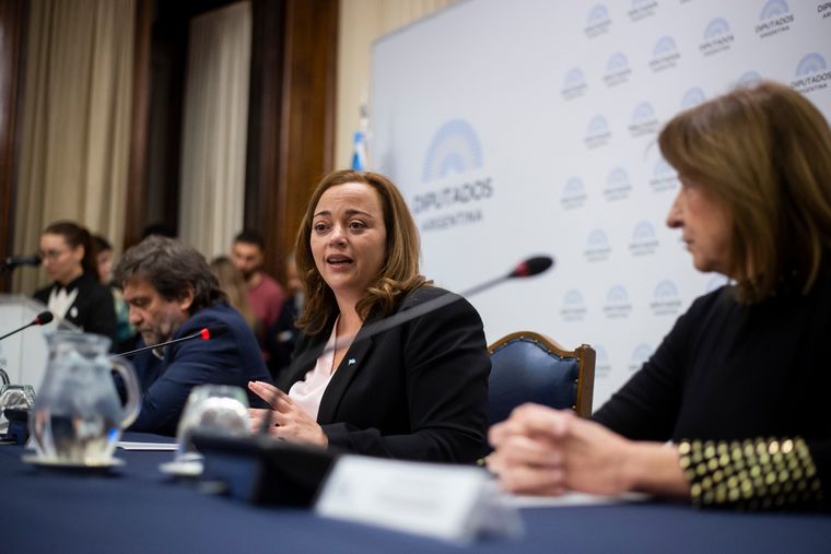 Foto: Prensa Diputados