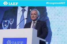 Vladimir Werning, vicepresidente del Banco Central Foto: IAEF