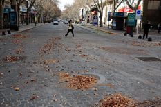 Foto: ALF PONCE MERCADO / MDZ