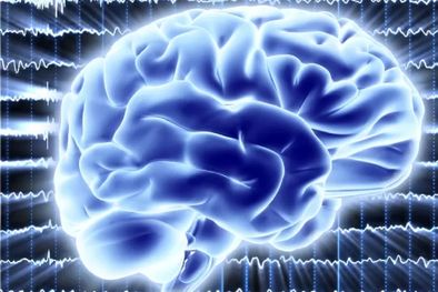 MDZol | Queríamos probar que el cerebro se puede comportar de una manera cuántica, señaló el científico español David López Pérez. Foto: GETTY IMAGES