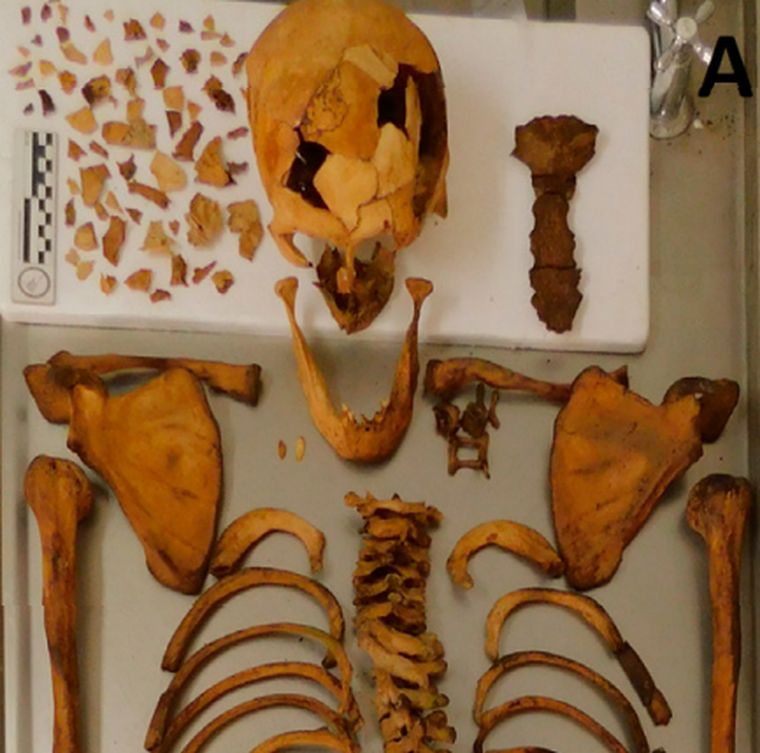 El esqueleto recuperado por los científicos. Tras los análisis, se demostró que eran los restos del hombre asesinado