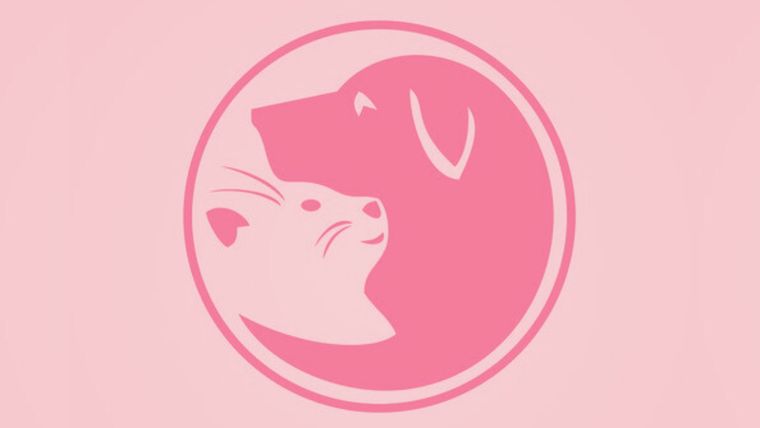 Test de personalidad